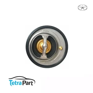 ترموستات جک S5