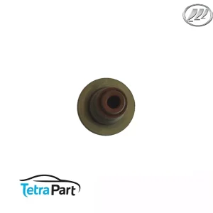 لاستیک ساق سوپاپ لیفان 620 (1600)